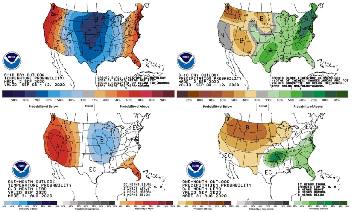 Forecast maps